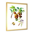thumbnail image 2 of Designart 'Ancient Fruits III' Farmhouse Framed Art Print, 2 of 4
