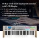 thumbnail image 3 of Controlador MIDI WORLDE P-49 Pro de 49 teclas con pantalla LCD, pads RGB y perillas personalizables, panel de aluminio cepillado, color plateado., 3 of 7