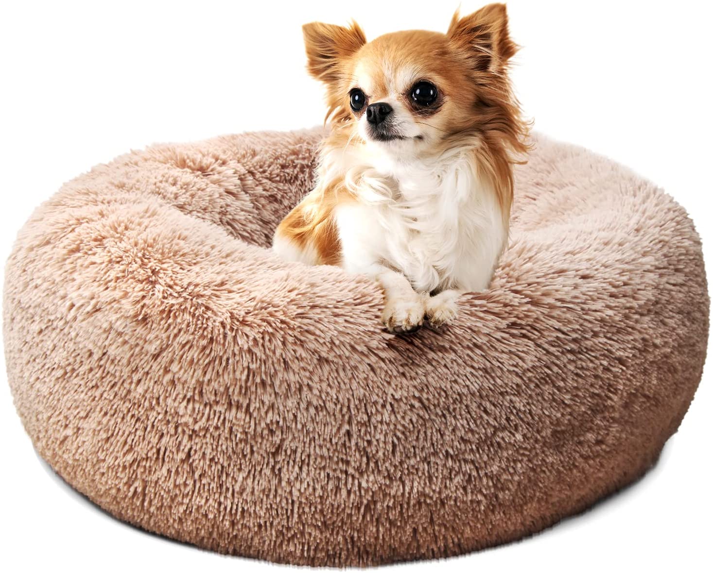 dog beds that help anxiety