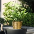 thumbnail image 4 of Ceramic Planter - 6 Inch Plant Pot Indoor Outdoor, Modern Round Planter with Drainage Hole and Plant Saucer, Decorative Small Flower Pot, Home Decor, Birthday Gifts, Gold, 4 of 6