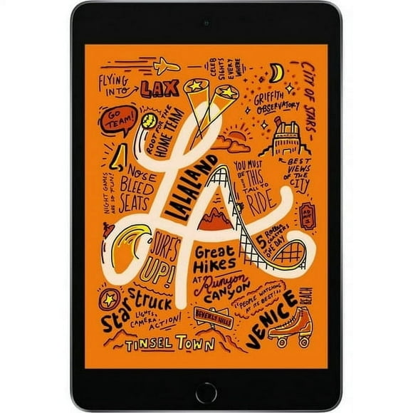 Apple iPad Mini 5 Tablette 7,9 Po 64 Go Wi-Fi, Gris Cosmique (Utilisé - Bon)