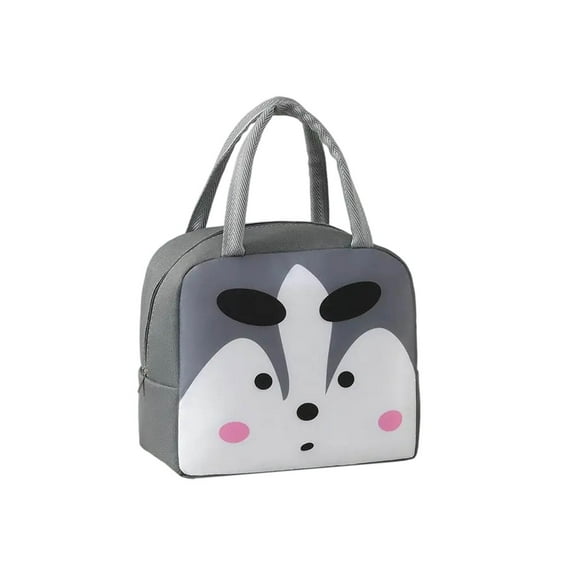 JoyMoreHome Portable Insulated Lunch Bag Cute Reusable Lunch Box for School Picnic Leakproof Lunch Tote Handbag