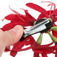 thumbnail image 4 of unbranded Clip Para Rojo Con Floral Para Peinados Prácticos Y, 4 of 6