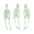 thumbnail image 1 of 8pcs Halloween Skeleton For Halloween Decorations, 1 of 3