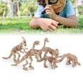 thumbnail image 3 of Modelo de esqueleto de dinosaurio ANGGREK 6 piezas figuras educativas juguetes para niños, 3 of 8