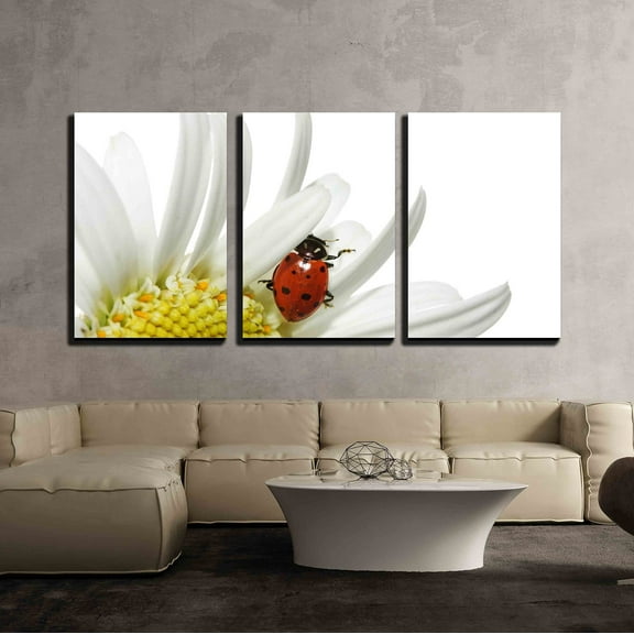 wall26 - 3 Piece Canvas Wall Art - Ladybug on Daisy - Modern Home Art Stretched and Framed Ready to Hang - 16"x24"x3 Panels