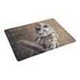 thumbnail image 2 of MKHERT Funny Wise Owl Sitting on Books Watercolor Animal Doormat Rug Home Decor Floor Mat Bath Mat 23.6x15.7 inch, 2 of 3