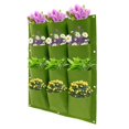 thumbnail image 1 of 12 Pockets Hanging Planting Grow Bags Hanging Vertical Wall Planter Planting Bag Hanging Planter Flower Planting Container, 1 of 9