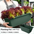 thumbnail image 3 of WMGHA Window Box Planter, Rectangle Planter Box with Drainage Holes and Trays Plastic Planters Flower Boxes Pots for Indoor Outdoor Plants Patio Garden Home Decor Porch Yard (14 Inch,Green), 3 of 7