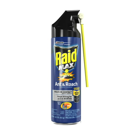 Raid Max Ant and Roach, 14.5 oz (1 ct) (Best Ant Spray For Home)