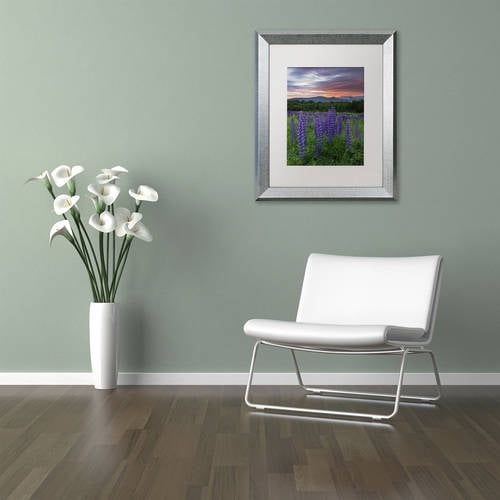Trademark Fine Art 'Fire in the Sky' Canvas Art by Michael Blanchette Photography, White Matte, Silver Frame