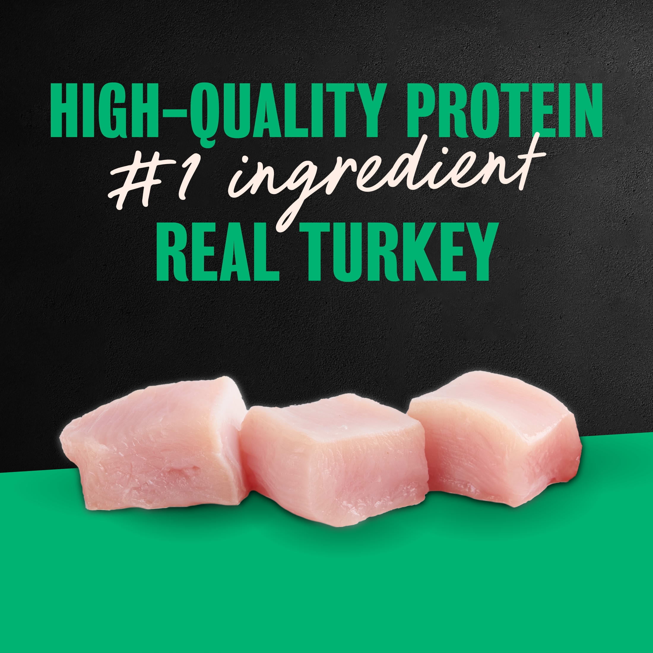 Cesar Filets in Gravy Wet Dog Food, Turkey Flavor, 3.5 oz. Trays, Pack of 24