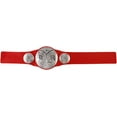 thumbnail image 2 of WWE Raw Tag Team Championship Title, 2 of 4