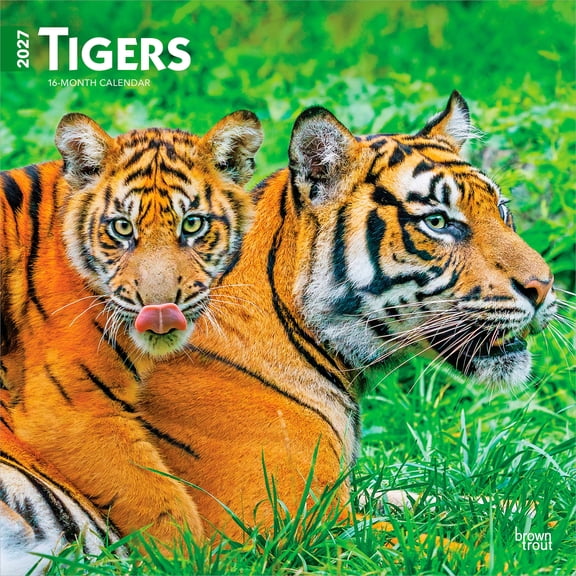 Tigers | 2027 12x24" (Hanging) Wall Calendar | Plastic-Free | BrownTrout