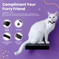 thumbnail image 2 of ASTRAEA AirTag Cat Collar Breakaway, Reflective Dog Kitten Collar with Air Tag Holder & Bell, Safety Strap for Girl Boy Cats, Black, 2 of 7