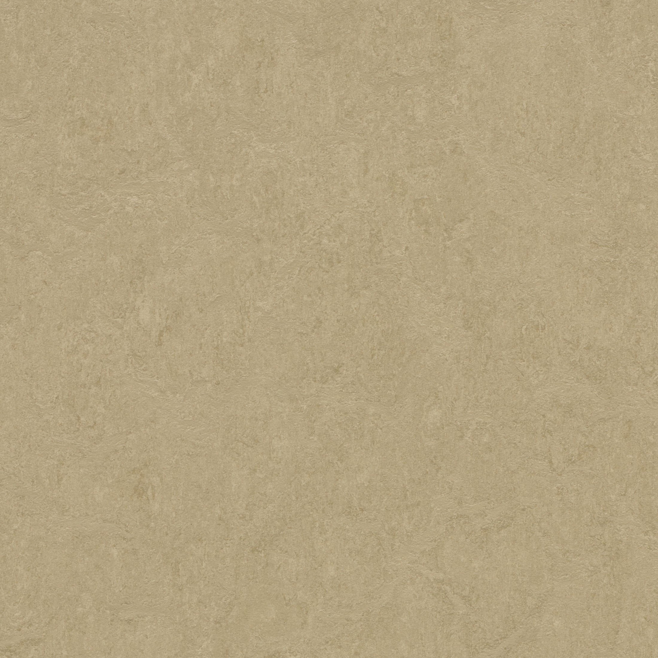 Forbo Flooring Marmoleum Cinch Loc Seal 11.81" x 11.81" Laminate Square in Oat 6.78 Sq ft