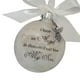 thumbnail image 2 of Colgante conmemorativo del árbol de navidad de la bola del ornamento de la ejecución de la pluma plástica de la bola de la decoración, hijo Advancent HA003103-06, 2 of 6