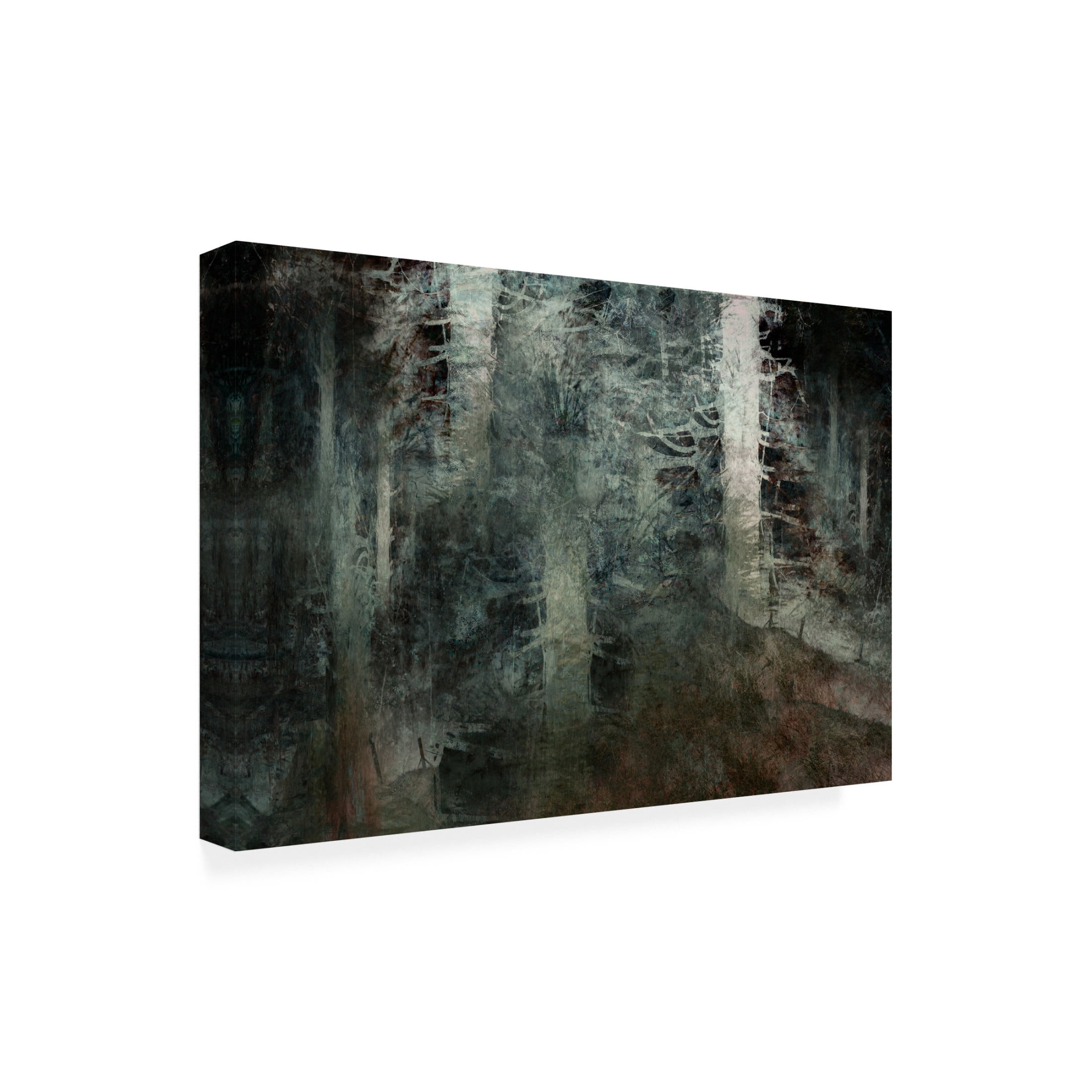Canvas Wall Art - Christina Sillen 'From The Hill' Wall Art for Living Room, Bedroom, or Office Décor by Trademark Fine Art - 47 x 30 Inches