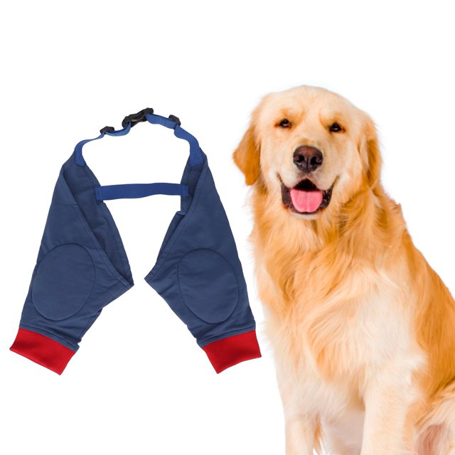 Tirantes para Piernas Delanteras para Perros Manga para Piernas Delanteras de Recuperación para Perros Suave Acolchado Elástico Transpirable Protección de las ANGGREK Otros