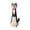 Black - 19cm, variant on Whimsical Long Neck Dog Planter 7.5 Inch Cute Animal Shaped Flower Pot Vinyl Succulent Planter for Indoor Outdoor Home Garden Decor White