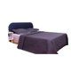 thumbnail image 1 of Colcha Reversible Queen Size Microfibra Bambú Dreams Bamboo, 1 of 1