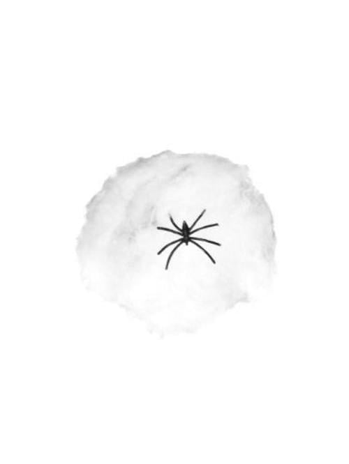 Small Spider  Fiber with Plastic Spider Prop