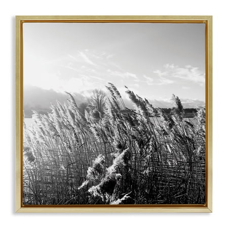 Stupell Industries Tall Grass Lake Water Landscape Landscape Photography Gold Floater Framed Canvas Art Print Wall Art 18 x 18