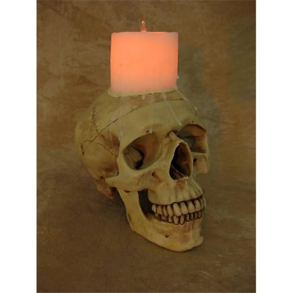 Lighted Skull With Wax Candle