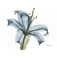 thumbnail image 3 of Koetsier, Albert 24x19 Black Modern Framed Museum Art Print Titled - Lily in Pink on Blue, 3 of 5