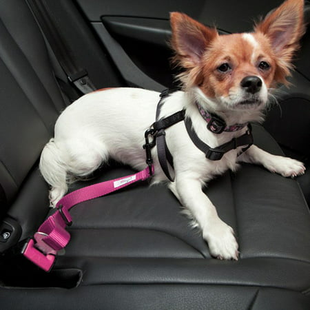 Karen Deals Adjustable Pet Car Seat Belt Keep Your Dog Safely Restrained While Driving!