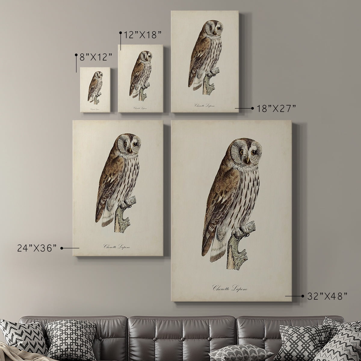 French Owls III Premium Gallery Wrapped Canvas - Ready to Hang