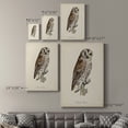 thumbnail image 4 of French Owls III Premium Gallery Wrapped Canvas - Ready to Hang, 4 of 9