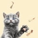 thumbnail image 4 of 3 PCS Tejido Gato Juguete Hogar Creativo Juguetes Mascotas para de Interior, 4 of 7