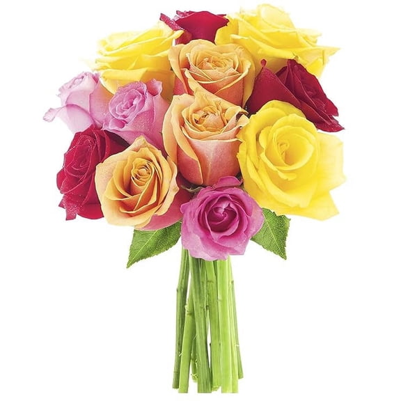 KaBloom : 3 Red, 3 Orange, 3 Pink, 3 Yellow Roses,, Next-Day Delivery, Gift for Every Occasion.
