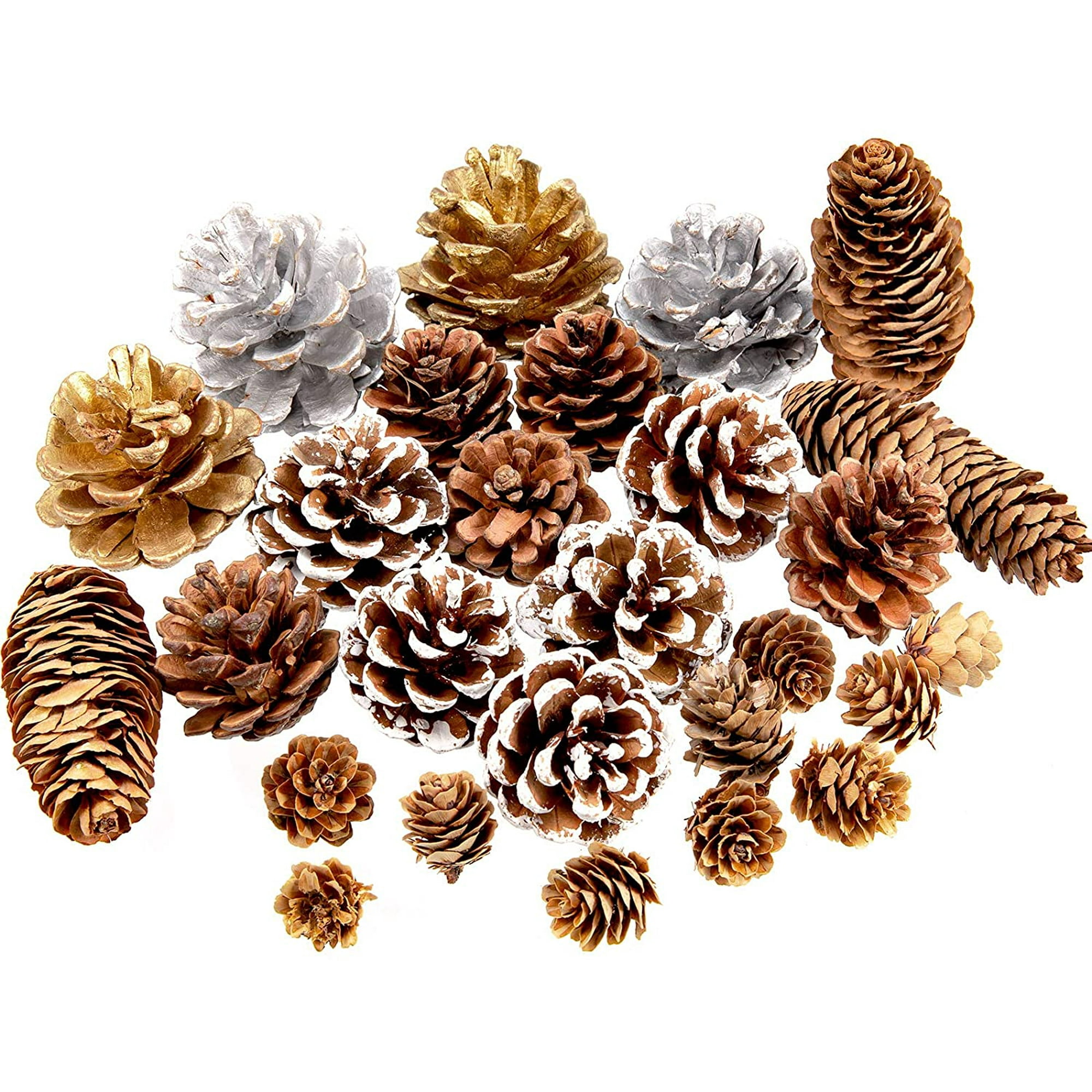 Are Pine Cones Safe For Dogs