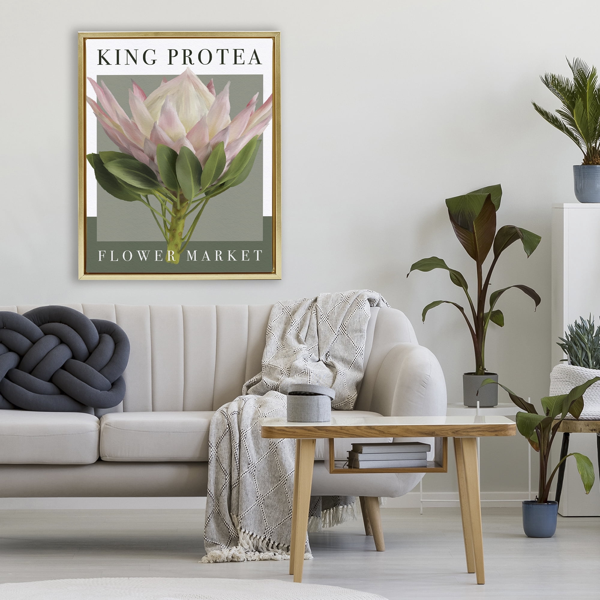 Stupell Industries King Protea Flower Market Gold Framed Floater Canvas Wall Art, design by Jennifer Stith