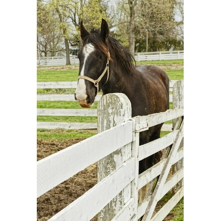 Village Shaker Chest Work horse, Shaker Village of Pleasant Hill, Harrodsburg, Kentucky Print Wall Art By Adam Jones ()