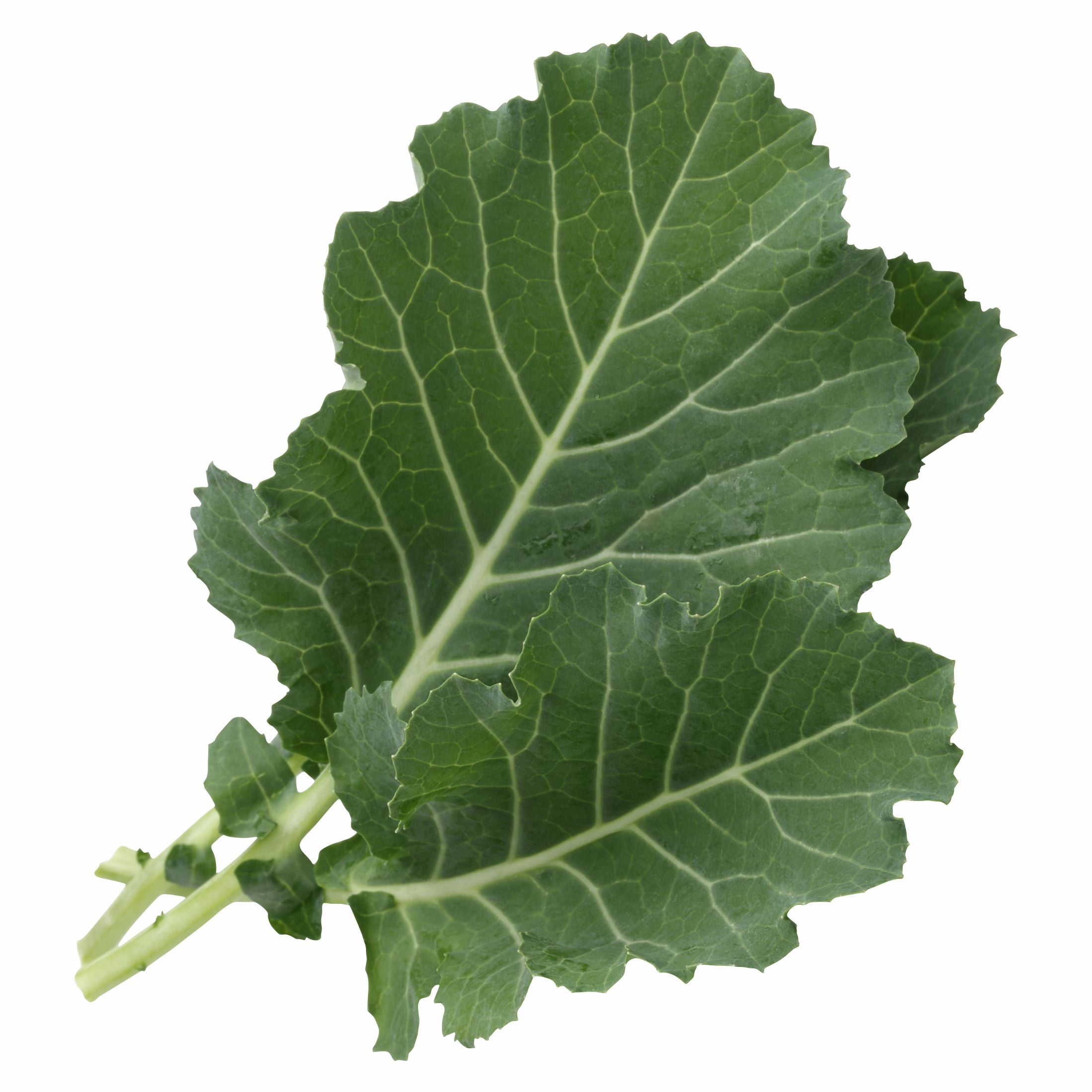 Fresh Collard Greens, Bunch