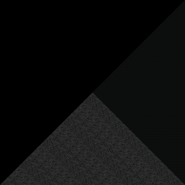 Black Beauty III