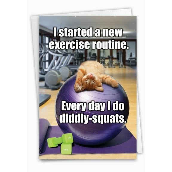 1 Funny Birthday Card with Envelope - Diddly Squats C3955BDG