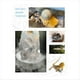 thumbnail image 4 of Humidificador Ultrasónico USB de 4 LED con Protección Salpicaduras, Humidificador de Aire Portátil para Fuente de Agua de Interior para Reptiles, 4 of 6