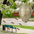 thumbnail image 4 of 6 Pack Wasp Nest Decoy, Hanging Waterproof Cloth and Paper Hornet Deterrent, Fake Wasp Nest for Yellow Jackets and Bees, Outdoor Garden Yard Protection, 4 of 7