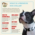 thumbnail image 5 of Country Brook Petz® Premium Nylon Dog Collar with Metal Buckle for Small Medium Large Breeds (Small, 3/4 Inch, White), 5 of 6