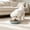 Green, variant on huayou Wide Shallow Pet Feeding Bowl, Non-Slip Matte Eating Dish for Small Dogs & Indoor Cats, Whisker Friendly Flat Plate for Dry Kibble, Wet Food And Freeze-Dried Snacks