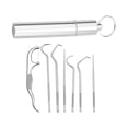 thumbnail image 1 of Juego de Palillos de dientes Jinwen de acero inoxidable 304 7 piezas portátiles, 1 of 8