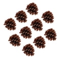 thumbnail image 4 of Bird Molar Pine Cone Toy, Multifunction Bite Resistant 6cm / 2.4in Parrots Chewing Pine Cones More Fun  For Cockatiel For Conure, 4 of 8