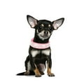 thumbnail image 4 of Collar de perro de cuero Bling Rhinestone - Incrustaciones de cristal para perros y gatitos, 4 of 5