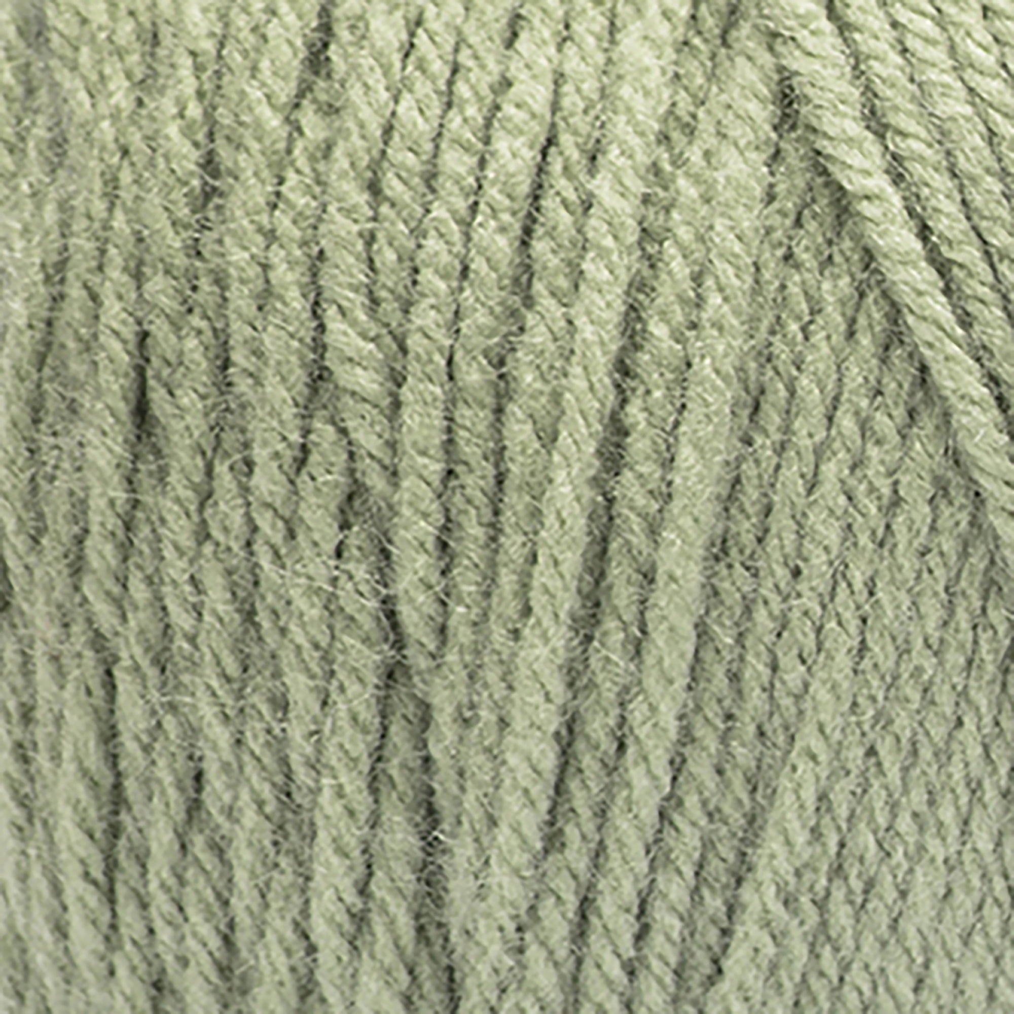 Red Heart® Super Saver Jumbo™ #4 Worsted Acrylic Yarn, Frostygreen 14oz/396g 744 Yards (2 Pack)