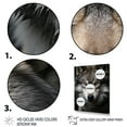 thumbnail image 3 of Designart "And White Grey Wolf I" Animals Floater Framed Wall Art Living Room, 3 of 7