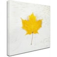 thumbnail image 2 of Trademark Fine Art "Autumn Colors II" Canvas Art by Sue Schlabach, 2 of 3